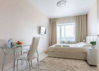 Продается квартира студия, 25 м2, Санкт-Петербург, Варшавская улица, 19к2, метро Московские ворота