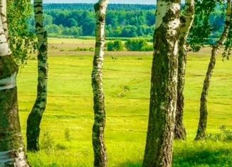 Участок на продажу, 6.4 сот., деревня Решетникова, Салаирский тракт