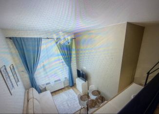 Продам квартиру студию, 21 м2, Санкт-Петербург, Чкаловский проспект, 16, Петроградский район