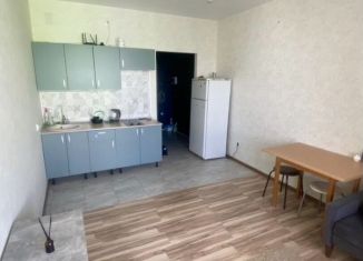 Аренда квартиры студии, 24 м2, посёлок Шушары, Старорусский проспект, 8к1