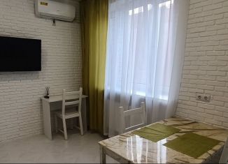 Сдаю в аренду квартиру студию, 27.5 м2, Краснодар, улица им. Героя Сарабеева В.И., 5к2, микрорайон Панорама