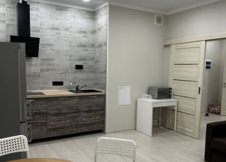 Сдается однокомнатная квартира, 55.5 м2, Новороссийск, набережная Адмирала Серебрякова, 29В