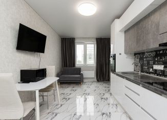 Продается 1-комнатная квартира, 32.2 м2, Челябинск, 2-я Эльтонская улица, 63А, Тракторозаводский район