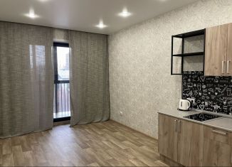 Продам 1-комнатную квартиру, 45.9 м2, Новосибирск, Ядринцевская улица, 57, Центральный район