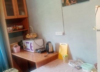 Аренда дома, 40 м2, посёлок Турбаза Юность, улица Шишкова, 8