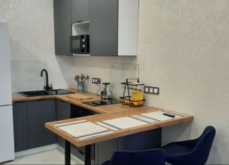 Сдается 2-комнатная квартира, 44 м2, Санкт-Петербург, улица Фёдора Котанова, Московский район