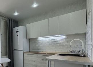 Сдается в аренду 1-комнатная квартира, 39 м2, Челябинск, улица Братьев Кашириных, 156, Центральный район