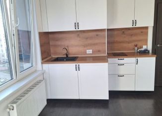 Сдам квартиру студию, 25 м2, Санкт-Петербург, Верхне-Каменская улица, 11к1, муниципальный округ Коломяги