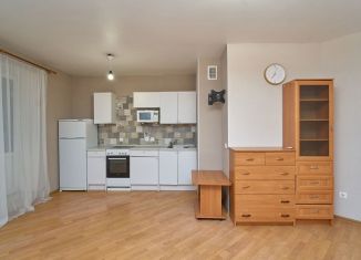 Сдача в аренду квартиры студии, 33.9 м2, Санкт-Петербург, проспект Королёва, 43к1, Приморский район