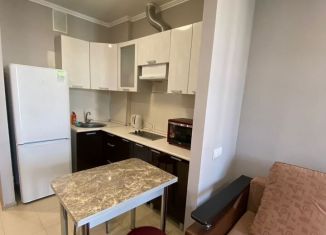 Квартира на продажу студия, 30.6 м2, Ростов-на-Дону, улица Шаповалова, 1Ес2, ЖК Соловьиная Роща