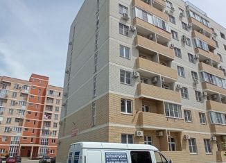 Однокомнатная квартира на продажу, 40.5 м2, Горячий Ключ, Рябиновая улица, 2Бк1