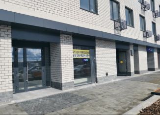 Сдаю помещение свободного назначения, 22.6 м2, Тюмень, Интернациональная улица, 199к9