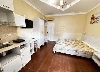 Сдача в аренду комнаты, 18 м2, Сочи, улица Чкалова, 67/1, микрорайон Чкаловский