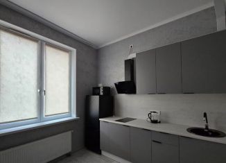 Сдам в аренду 1-ком. квартиру, 33 м2, Мурино, улица Шувалова, 33/35