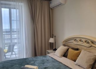 Сдается квартира студия, 23.1 м2, Санкт-Петербург, Пулковское шоссе, 42к6, метро Звёздная