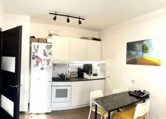 Продажа 1-ком. квартиры, 35.2 м2, Санкт-Петербург, улица Лётчика Лихолетова, 14к3, муниципальный округ Сосновая Поляна
