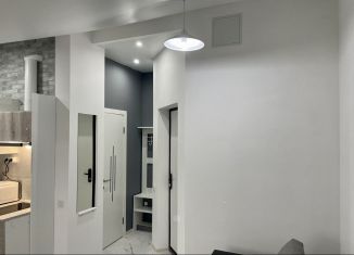 Сдаю квартиру студию, 25 м2, Краснодар, Домбайская улица, 10/2, микрорайон ККБ