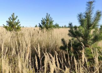 Продам участок, 1000 сот., Менделеевск, улица Михаила Суднишникова, 6