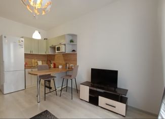 Сдам квартиру студию, 25 м2, Санкт-Петербург, Верхне-Каменская улица, 5, муниципальный округ Коломяги