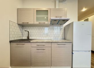 Аренда квартиры студии, 27 м2, Краснодар, Колхозная улица, 5/2, ЖК Все Свои