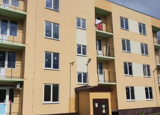 Продается квартира студия, 23.7 м2, Ленинградская область, улица Половинкиной, 71А