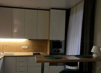 Сдается в аренду 1-комнатная квартира, 31.4 м2, Новосибирск, улица Гоголя, 17, Центральный район