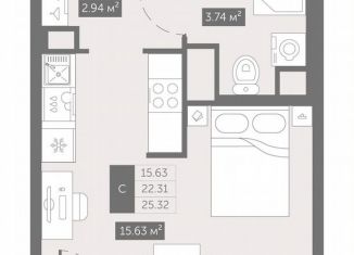 Квартира на продажу студия, 25.3 м2, посёлок Шушары