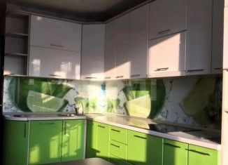 Сдам в аренду 1-ком. квартиру, 42 м2, Новосибирск, улица Татьяны Снежиной, 39, Октябрьский район