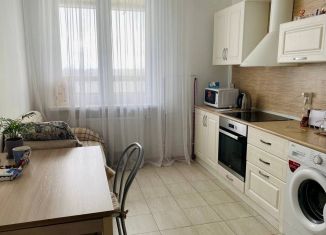 Сдается в аренду 1-ком. квартира, 35.3 м2, Санкт-Петербург, Антокольский переулок, 6, метро Обухово