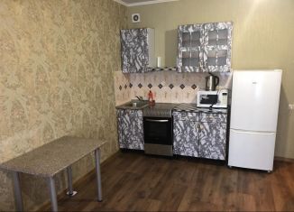 Сдается в аренду квартира студия, 32 м2, Новосибирск, улица Виталия Потылицына, 3, Октябрьский район