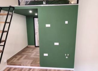 Продается квартира студия, 19.1 м2, Санкт-Петербург, Опочинина улица, 3, метро Василеостровская