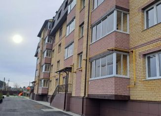 Продажа 2-ком. квартиры, 50.8 м2, деревня Перикса, Берёзовая улица, 56