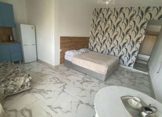 Сдается в аренду дом, 35 м2, Дагестан, Махачкалинская улица, 51А