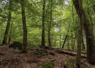 Участок на продажу, 8 сот., Нальчик