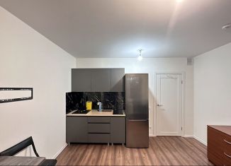Сдаю в аренду квартиру студию, 18 м2, Санкт-Петербург, Пахомовская улица, 26, Красногвардейский район