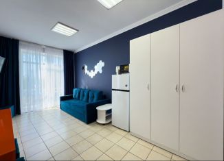 Сдается в аренду комната, 30 м2, Геленджик, улица Кирова, 24