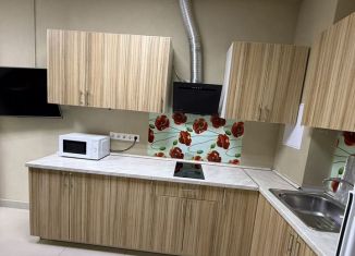 Сдаю в аренду однокомнатную квартиру, 50 м2, село Краевско-Армянское, Измайловская улица, 59А