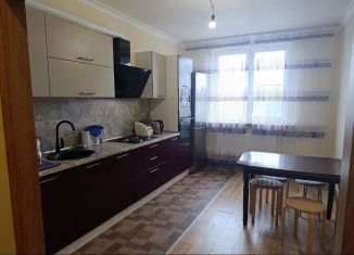 2-комнатная квартира на продажу, 59.1 м2, Сестрорецк, Гагаринская улица, 77к1, ЖК Дом у разлива