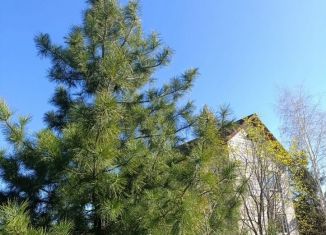 Продам дом, 250 м2, деревня Дерибы, Луговая улица