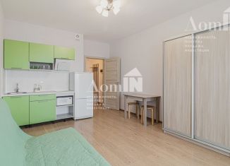 Квартира в аренду студия, 24.5 м2, Санкт-Петербург, Советский проспект, 34к3, Невский район