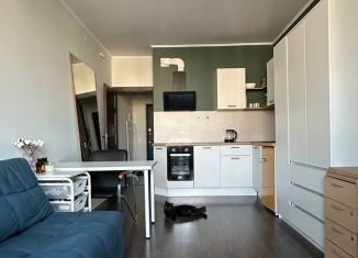 Сдам в аренду квартиру студию, 24.3 м2, Санкт-Петербург, Арцеуловская аллея, 21, муниципальный округ Коломяги