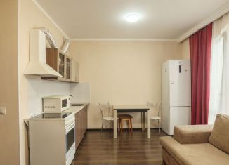 Аренда квартиры студии, 25 м2, Санкт-Петербург, Плесецкая улица, 20к1, муниципальный округ Коломяги
