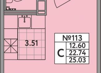 Продаю квартиру студию, 22.7 м2, деревня Новое Девяткино, Главная улица, 2, ЖК Удача