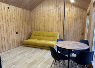 Дом в аренду, 24 м2, деревня Кандаковка, улица Ленина, 2Е