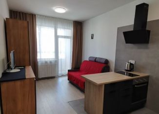 Квартира в аренду студия, 22.2 м2, Санкт-Петербург, Суздальское шоссе, 22к3, Приморский район