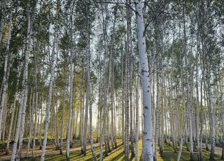 Земельный участок на продажу, 6 сот., Тюмень, Центральный округ