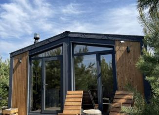 Аренда дома, 35 м2, деревня Ермолаево