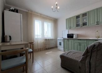 Сдается однокомнатная квартира, 40 м2, Краснодар, Рождественская набережная, 41, Западный округ