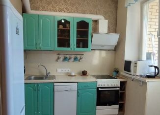 Аренда 2-комнатной квартиры, 55 м2, Санкт-Петербург, Мебельная улица, 21к1, Приморский район