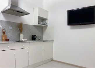 Сдаю в аренду квартиру студию, 24 м2, Санкт-Петербург, Планерная улица, 93, Приморский район